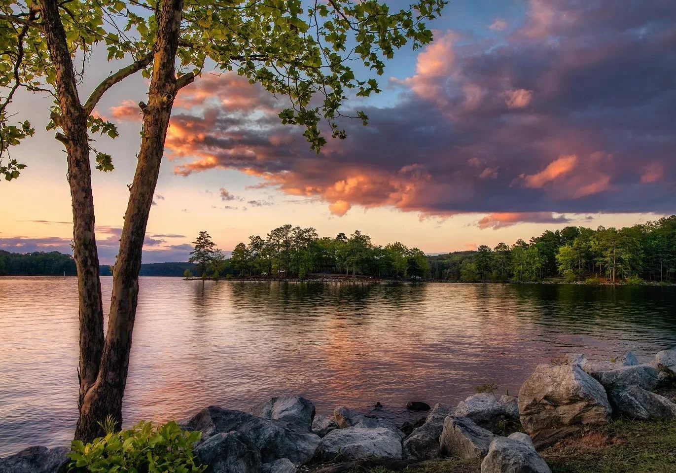 Sunset light through trees near Red Top Mountain.